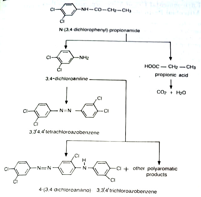 The biodegradation pathway for the herbicide propanil, N-propionamide.